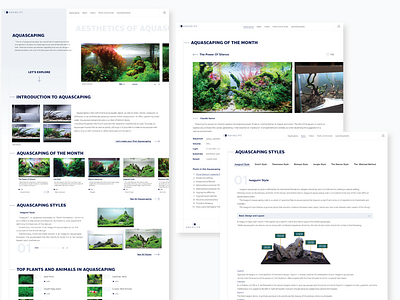 Aquascaping website design aquarium design figma ui web design website