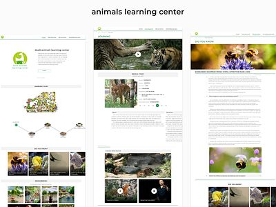 animals learning center animal design figma ui ux web design