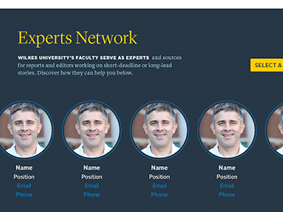 Experts Network blue experts profiles yellow