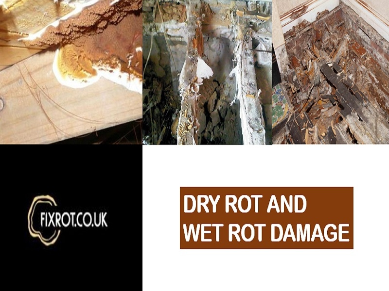 Fixrot.co.uk Dry Rot and Wet Rot damage by Fixrot.co.uk on Dribbble