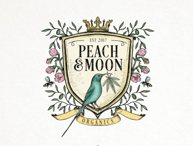 PEACH & MOON app artist bird brand branding business design graphic design illustraion lettermark moon organic peach photoshop pictorial mark software trend typography ui ux