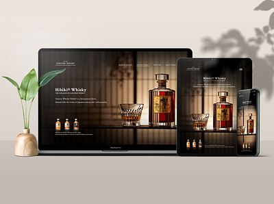 Hibiki Product Page concept app design ui ux web