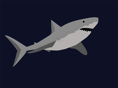 Jaws animal illustration jaws ocean sea shark water