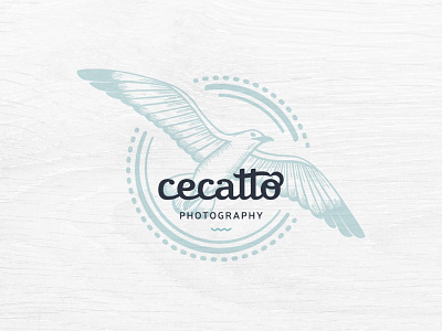 Cecatto Wedding Photography branding photography visual identity