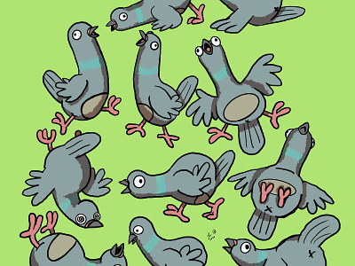 Pigeons Pigeons Pigeons - Personal Work bird coo pigeons procreate