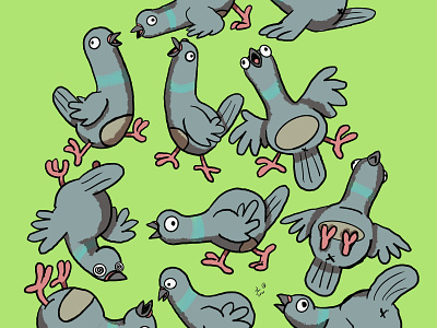 Pigeons Pigeons Pigeons - Personal Work