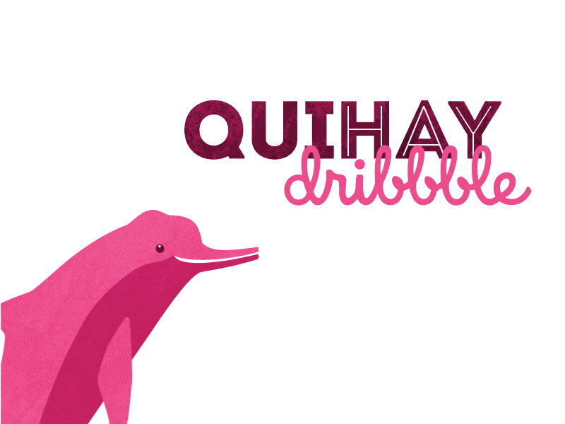 Quihay Dribbble! animal animalist dolphin dribbble nature pink quihay