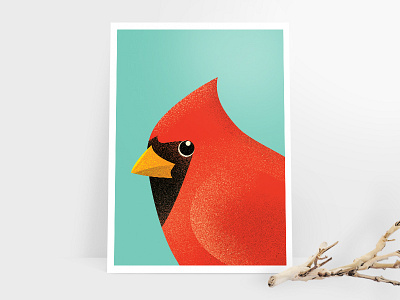 Cardinal Directions bird cardinal illustration portrait poster print texture
