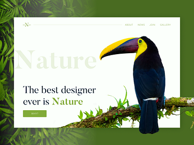 Nature project website animals graphic design green nature parrot plants website