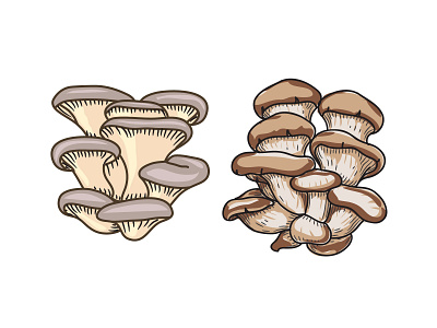 mushroom illustration