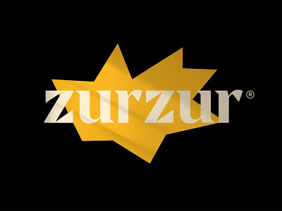 Zurzur Logo branding design lettering logo vector