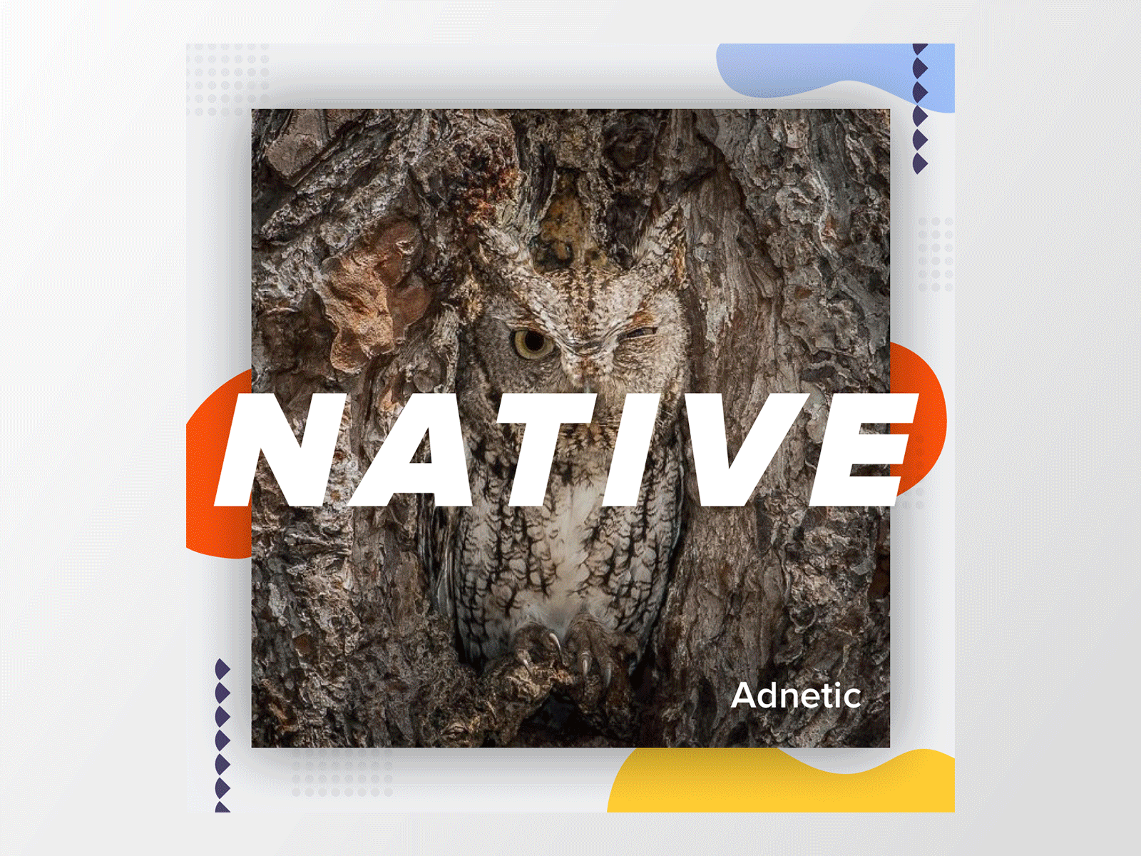Web banners for Adnetic (native ads platform)