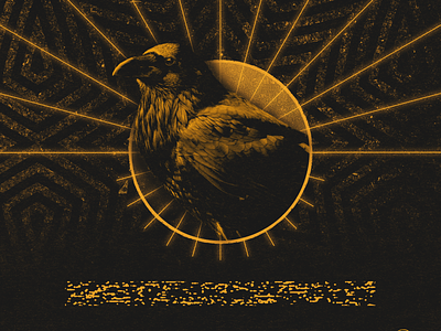 02. Transmutation alchemy bird brand daily design flight fly graphic illuminate illustration raven