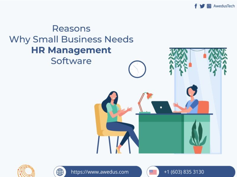 Why Small Business Needs HR Management Software? by Awedus on Dribbble