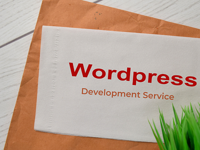 Wordpress plugin development services apllication web design wordpress wordpress design wordpress theme