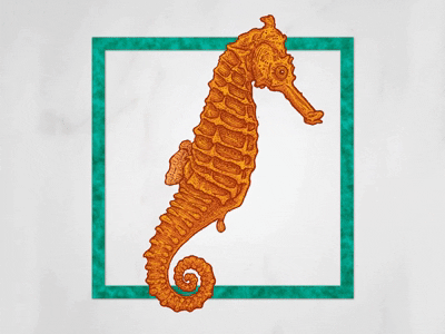 Seahorse cute drawing fish gif illustration ink life mythica orange seahorse