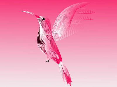 Beautiful Flying Birds beautiful bird branding business design graphic design icon illustration logo vector