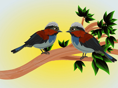 Beautiful Birds on tree vector illustration
