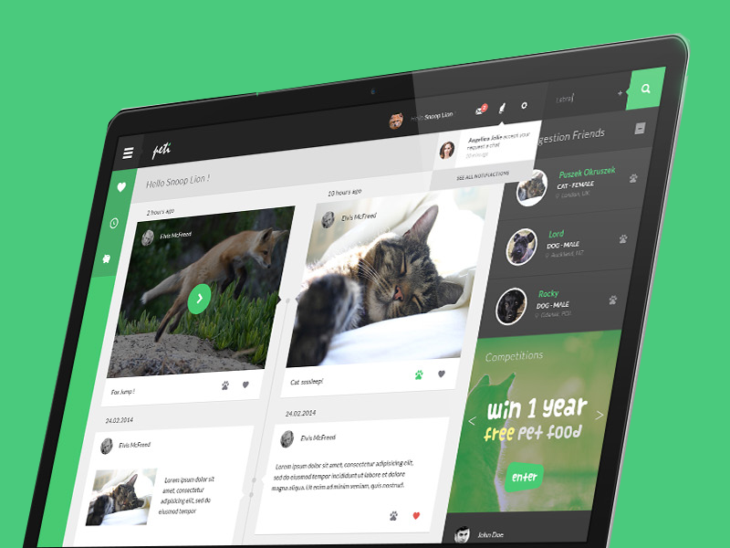 Peti networking site for pets by Oskar Gdaniec on Dribbble