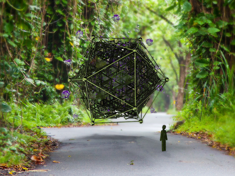 In The Forest bettereveryday visualart reflection compositing 3d c4d