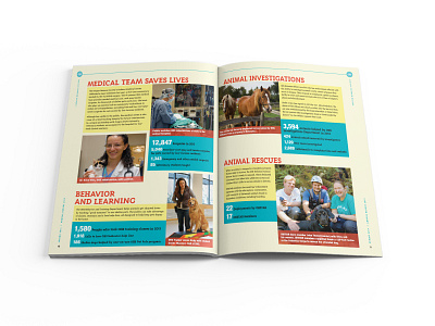 Oregon Humane Society 2013 Annual Report Spread 02 editorial design graphic design print design