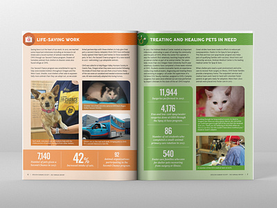 Oregon Humane Society 2017 Annual Report Spread 02 design editorial design print design