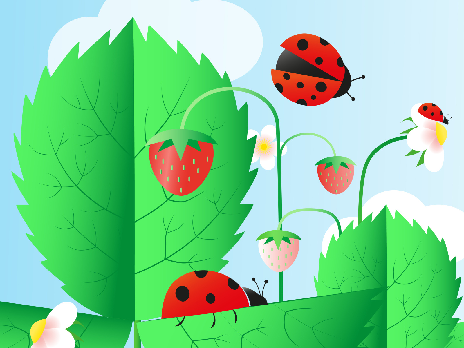 Blooming strawberries and ladybugs by Irina Maister on Dribbble