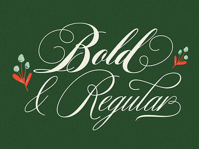 Bibliophile Script calligraphy design font lettering sudtipos typeface typography