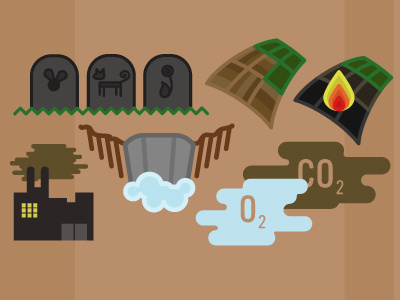 Rainforest Icons