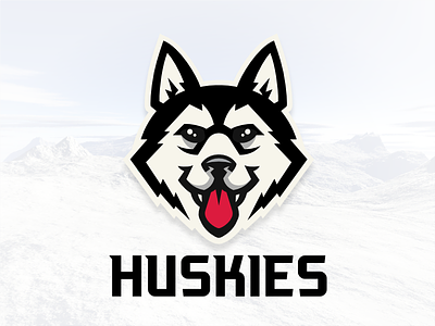 Huskies Update