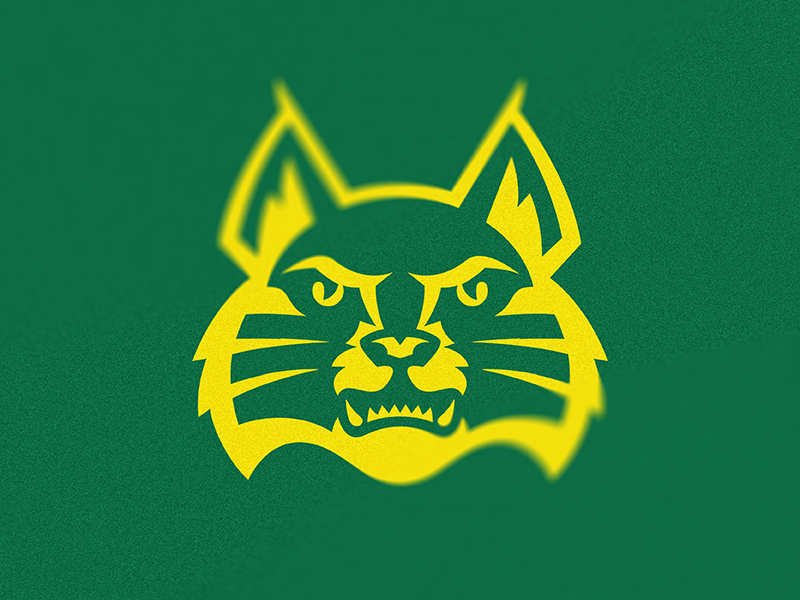 Bobcat by Adam Walsh on Dribbble