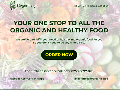 Organicagic Web Ui design