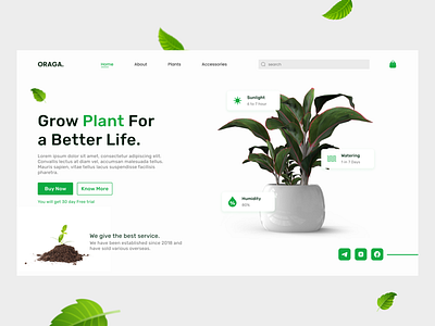 Plant website - landing page design green hero section knowledge landing page nature plant template ui website