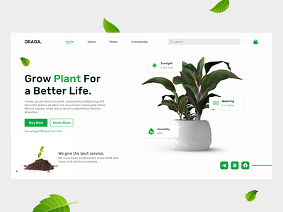 Plant website - landing page