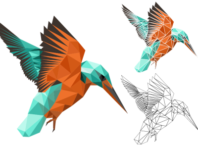 low poly illustration - kingfisher bird design graphic design illustration