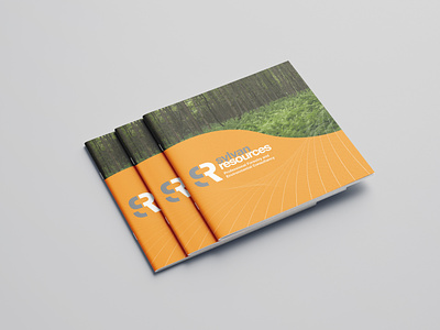 Brochure Design brochure cover deisgn graphic design print