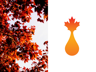 Maple Syrup Logo