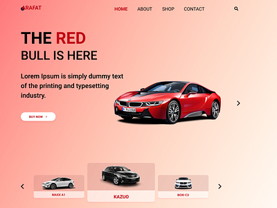 Landing webpage for a car company