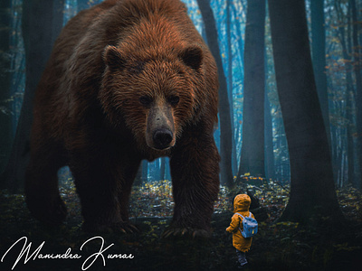 bear in forest