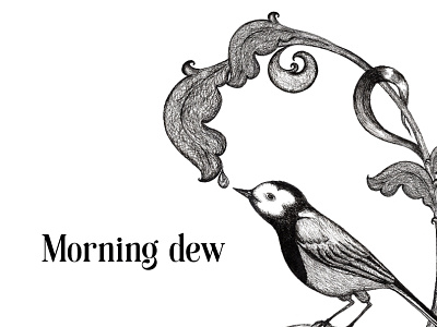 Hand-drawn graphics. Morning dew. black and white branding design graphics hand drawn illustration logo photoshop