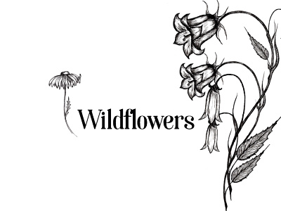 Wildflowers. black and white design graphics hand drawn illustration logo