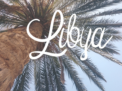Palm City adobe calligraphy cursive illustration lettering moetion sunny tablet text typing vibe wacom
