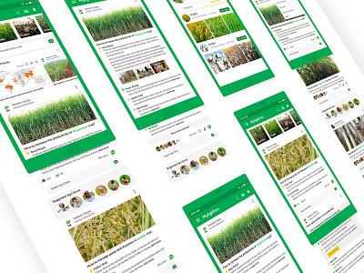 AgriBuzz - MyAgriGuru 3.0 agriculture agronomy android app artdirection branding characterdesing design thinking farming illustration mahindra myagriguru