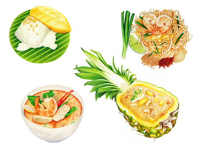 Packaging Illustration: Thai Food colored pencil food illustration packaging watercolor
