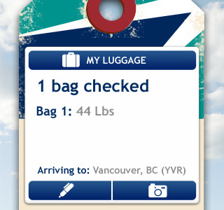 airline Luggage Ticket screen