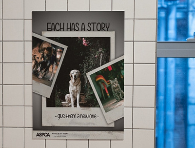 ASPCA Poster Project branding design graphic design poster