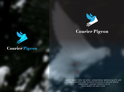 Pigeon Courier Logo Design Idea adobe photoshop app logo arts branding business logo colors company logo design design trends dope logo game logo graphic design illustration logo logo for sale logo ideas logo mark logo trends minimal logo ui