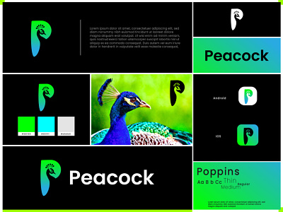 Letter P Logo Design - Peacock - Inspiration - Branding