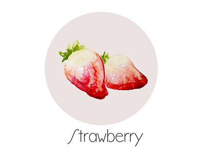 Watercolor - Strawberry fruit icon painting watercolor