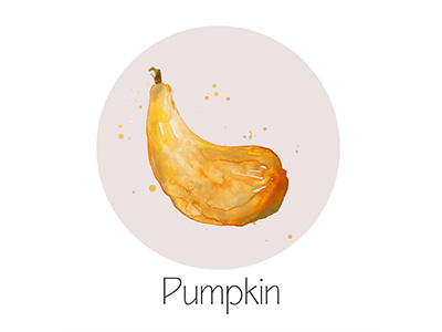 Pumpkin fruit icon painting watercolor